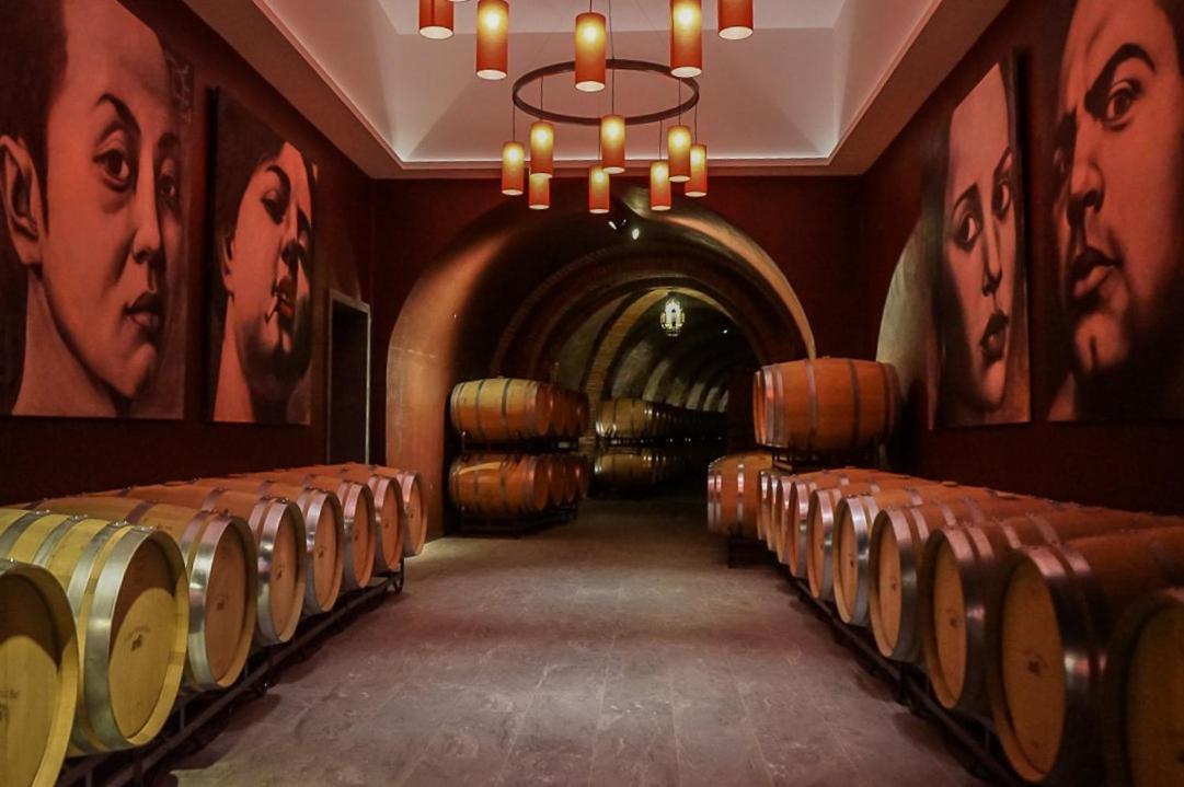 Hotel Vinicola Real-200 Monges Albelda De Iregua ภายนอก รูปภาพ