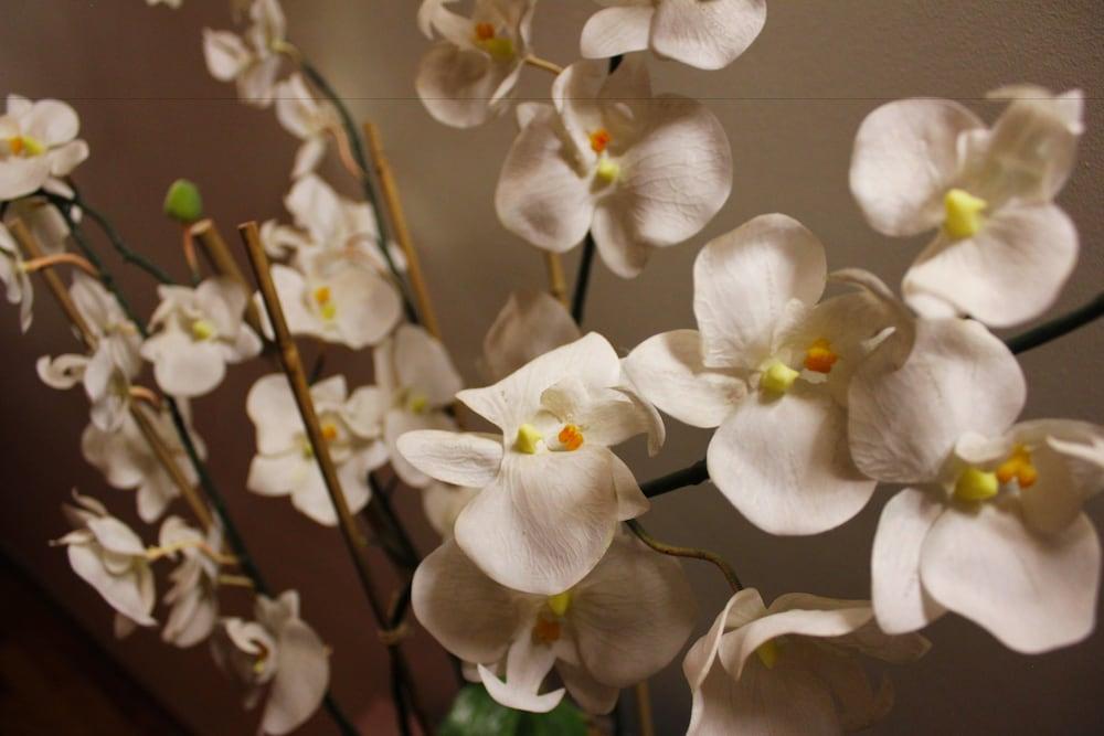 Hotel Vinicola Real-200 Monges Albelda De Iregua ภายนอก รูปภาพ