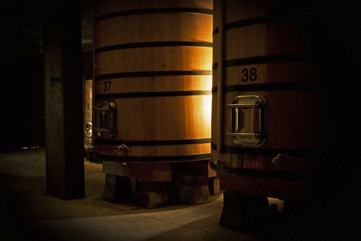 Hotel Vinicola Real-200 Monges Albelda De Iregua ภายนอก รูปภาพ