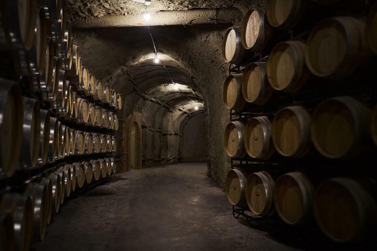 Hotel Vinicola Real-200 Monges Albelda De Iregua ภายนอก รูปภาพ